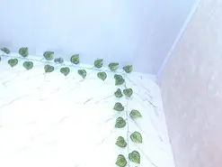 Amateur Free Live Porn of amandacanelacm
