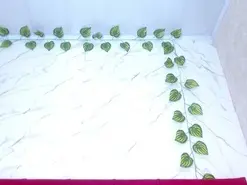 Amateur Live Sex of amandacanelacm