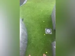 Amateur Sex Chat of Eduyvero1