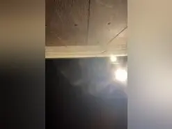 Amateur Live Sex of lilafg