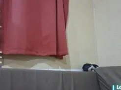 Amateur Free Live Porn of Quenomirees