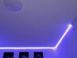 Amateur Free Live Porn of sextape_couple