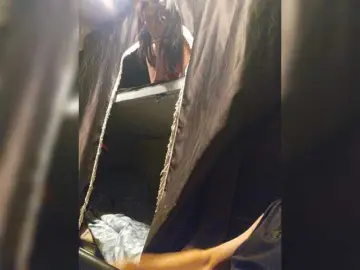 Bongacams Sex Cam of Paratrax