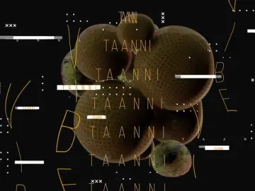 Bongacams Free Porn Cam of Taanni