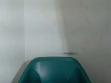 Bongacams Sex Chat of Sugarxpussy