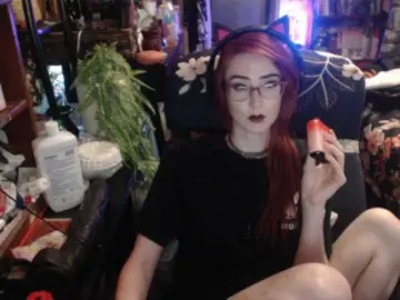Bongacams Adult Webcam of pussyxpaladin