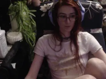 Bongacams Adult Webcam of pussyxpaladin