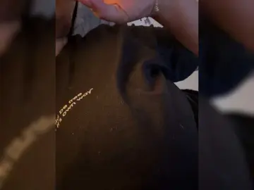 Bongacams Best live sex cam show of IrisEvans