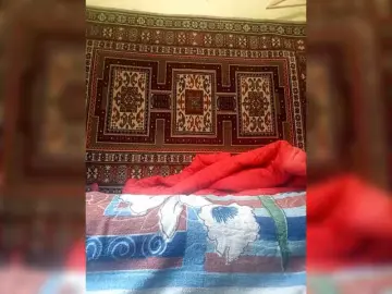 Bongacams Adult Webcam of Cekun