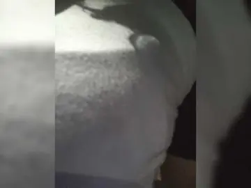 Bongacams Sex Cam of Anmazing