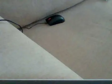 Bongacams Best Webcam of Dotrizer-1