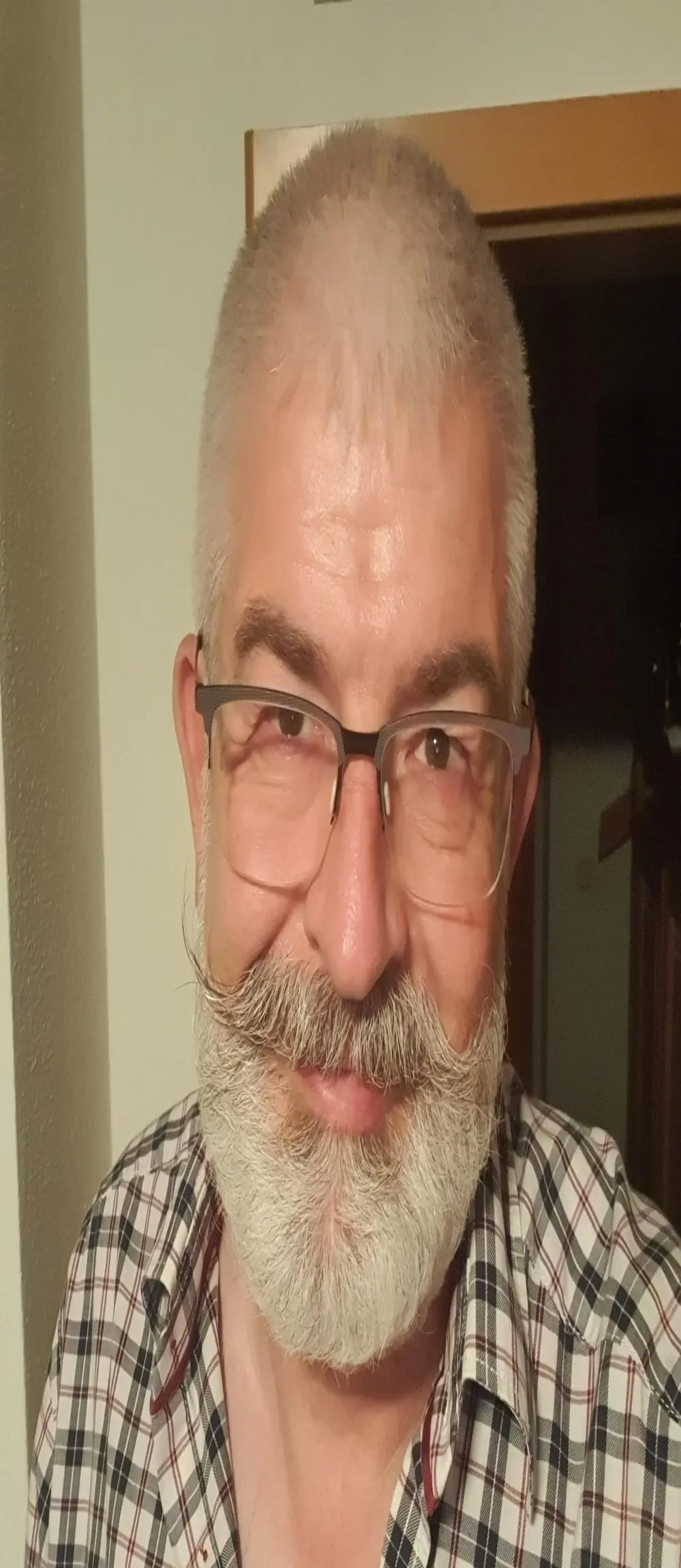 goatee_LA