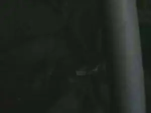 Cam4 Best Webcam of 0barbanera