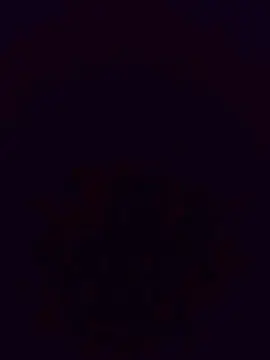 Cam4 Best Webcam of Fsst4
