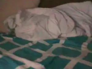 Cam4 Adult Webcam of Workaholic0877