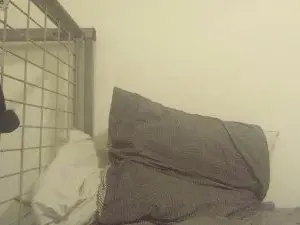 Cam4 Free Porn Cam of GutsXbsk