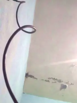 Cam4 Live Porn of Eliuth_Alan