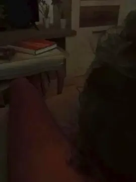 Cam4 Private Sex Chat of moreno2359