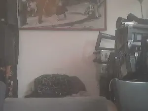 Cam4 Sex Chat of bigmacdaddy1959