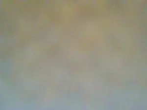 Cam4 Best live sex cam show of SvenTwinkboy