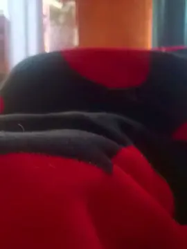 Cam4 Free Porn Cam of dolcebaby99