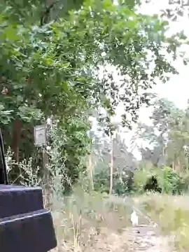 Cam4 Live Sex of robotron87