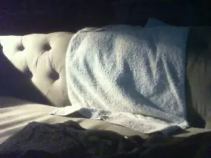Cam4 Best Webcam of Avitus630