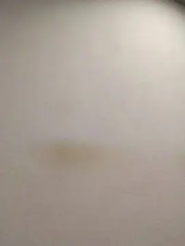 Cam4 Free Live Porn of tonytuga