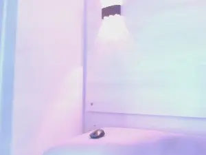 Cam4 Free Live Porn of Juan_jhonson