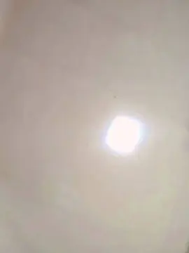 Cam4 Live Porn of Fenixxzzzxx