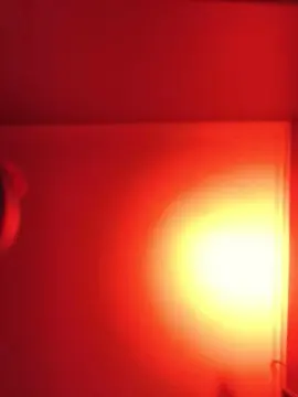 Cam4 Live Porn of jereklein24k