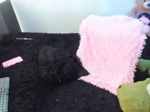 Cam4 Adult Webcams of Hanna_harrison