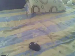 Cam4 Live Porn of naskicha