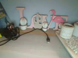 Cam4 Live Sex of TettonaPelosa