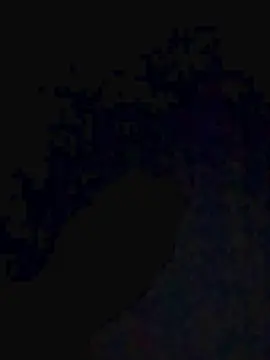 Cam4 Adult Webcam of Wilyyasmi39
