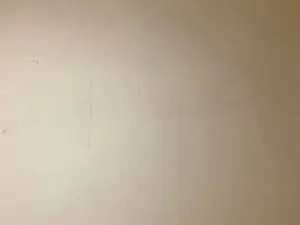 Cam4 Free Porn Cam of Javierapalacios