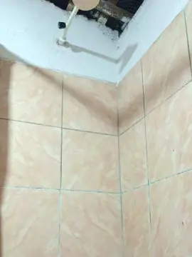 Cam4 Sex Cam of cachorrosolto1
