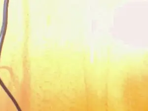 Cam4 Adult Webcam of pollonbig07
