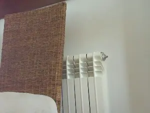 Cam4 Sex Cam of Madrid21cm