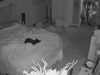 Camsoda Best Webcam of voyeurcam-house-charleys-room