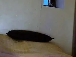 Camsoda Adult Webcams of vinasteedman