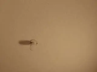 Camsoda Sex Cam of jaaadeee