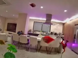 Camsoda Live Sex Cam of voyeurcam-casa-salsa-fishtank