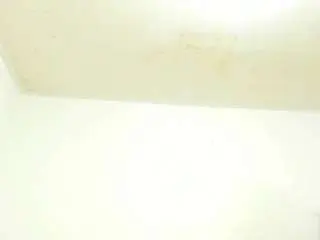 Camsoda Best Webcam of alishagoddes