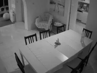 Camsoda Sex Cam of voyeurcam-julmodels-dining