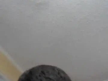 Chaturbate Adult Webcam of pussylver21