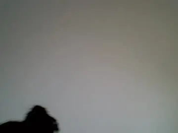 Chaturbate Adult Webcams of ebony_lynne