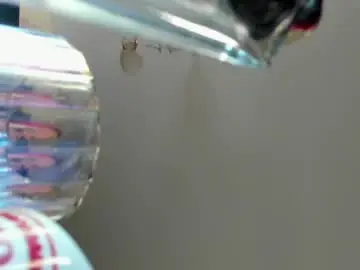 Chaturbate Best Webcam of neon_baddie
