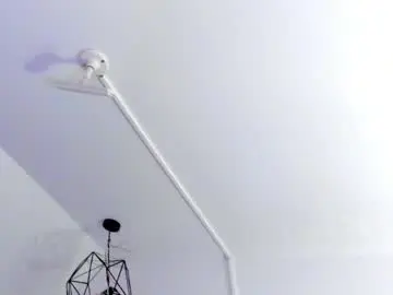 Chaturbate Free Live Porn of halie728
