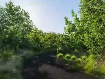 Chaturbate Sex Cam of makingmoans